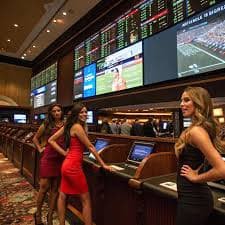bet222 login